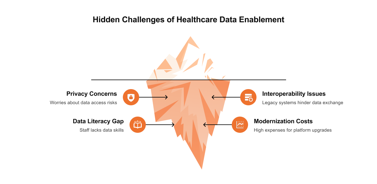 Data Enablement Challenges